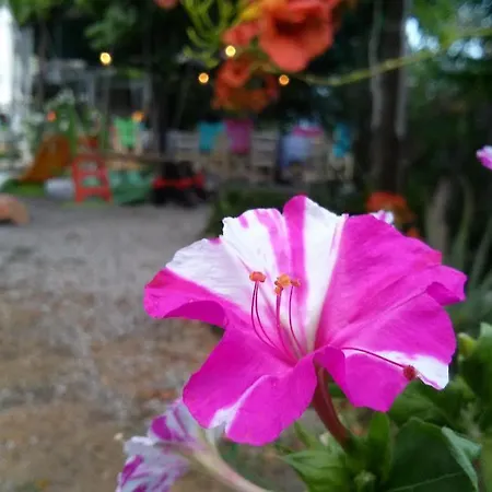 Otel Odos Kentavron 2*