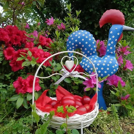 Odos Kentavron Tsagkarada